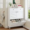 Shoe Cabinet with 2 Flip Drawers and 2 Drawers, Slim Metal Entryway Storage Cabinet